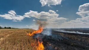 Central Government ने की Mann सरकार की सराहना, Punjab की सफ़लता, किसानों के सहयोग से Stubble Burning Incidents में 85% की ऐतिहासिक गिरावट