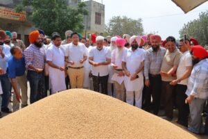 Punjab News: खाद्य एवं नागरिक आपूर्ति मंत्री लाल चंद कटारूचक्क ने भगतांवाला अनाज मंडी में चल रही गेहूं खरीद का लिया जायजा